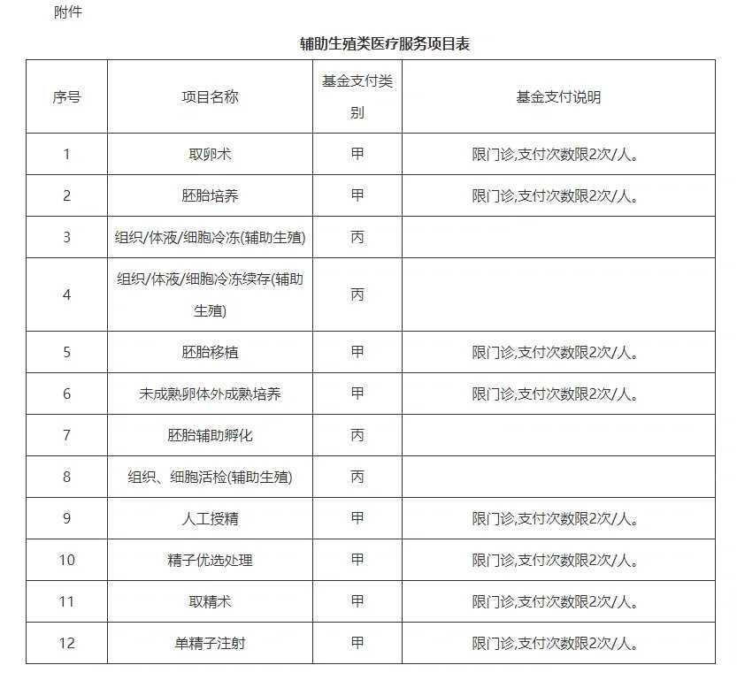 供卵助孕与自然受孕的本质区别解析