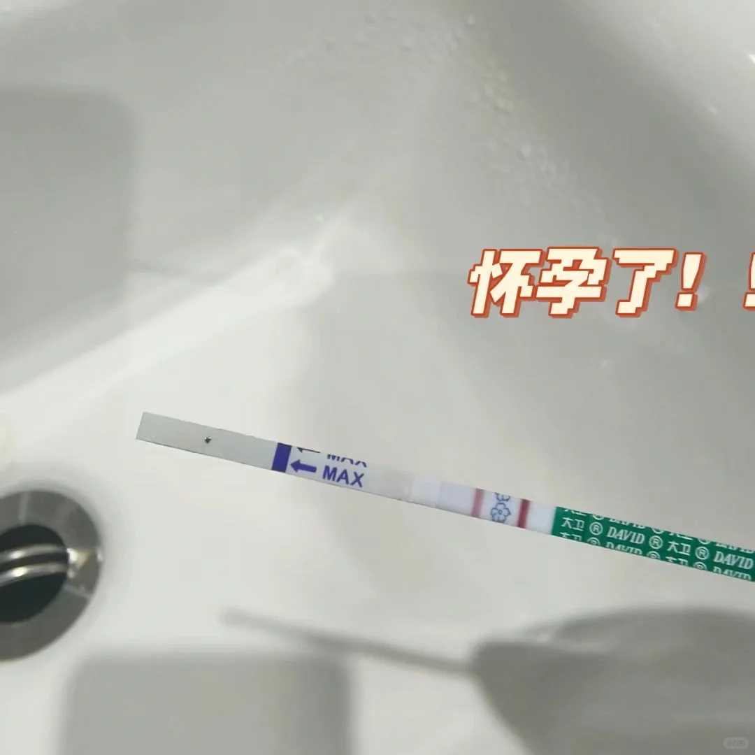 胚胎植入前遗传学诊断：现代生育技术的璀璨明珠